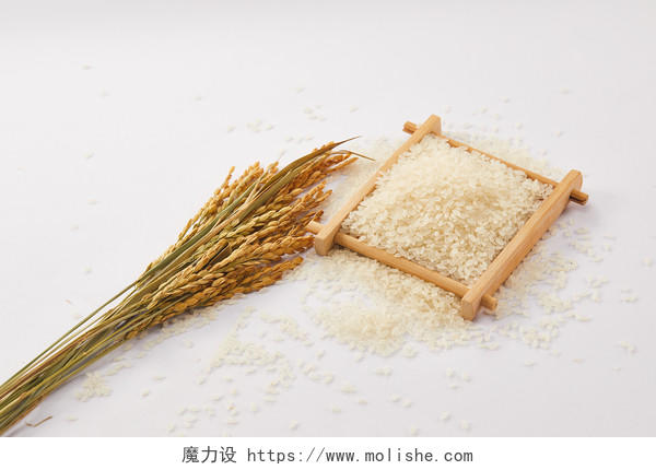 粮食白底木盒麦穗麦子大米五谷杂粮秋天丰收配图谷物丰收节